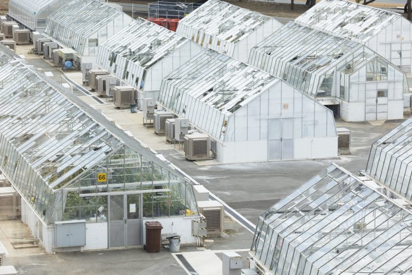 Damage to glasshouses at the ANU Research Centre of Biology
