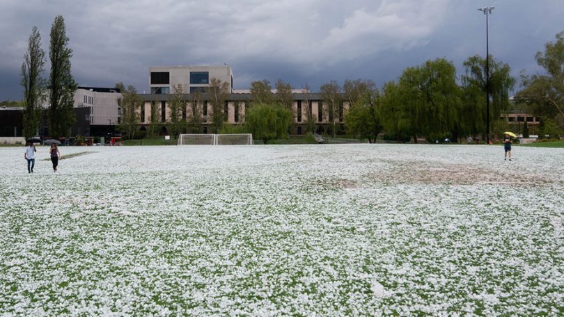 ANU after the hail in January