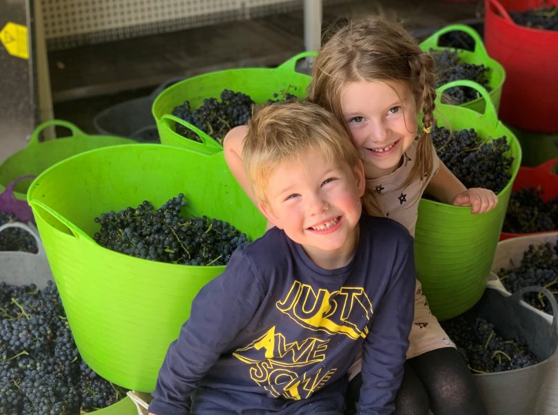 Ryder and Eloise McDougall sitting among buckets of grapes.