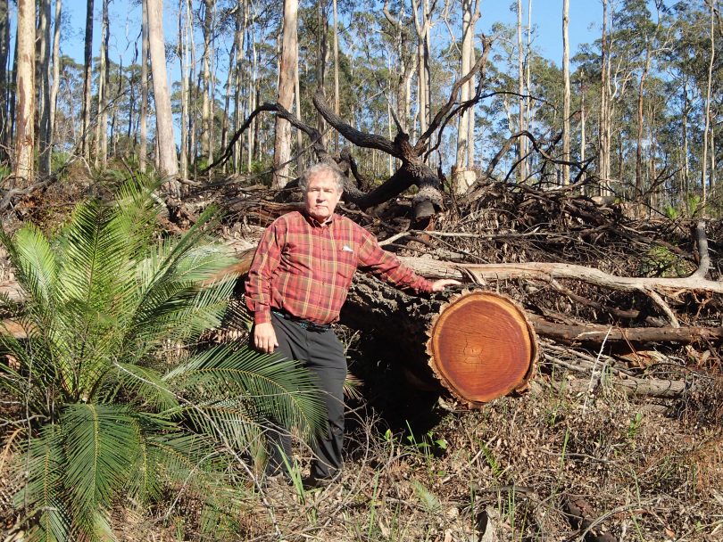 Alec Marr from the Friends of Durras community group leaning on felled log in forest.