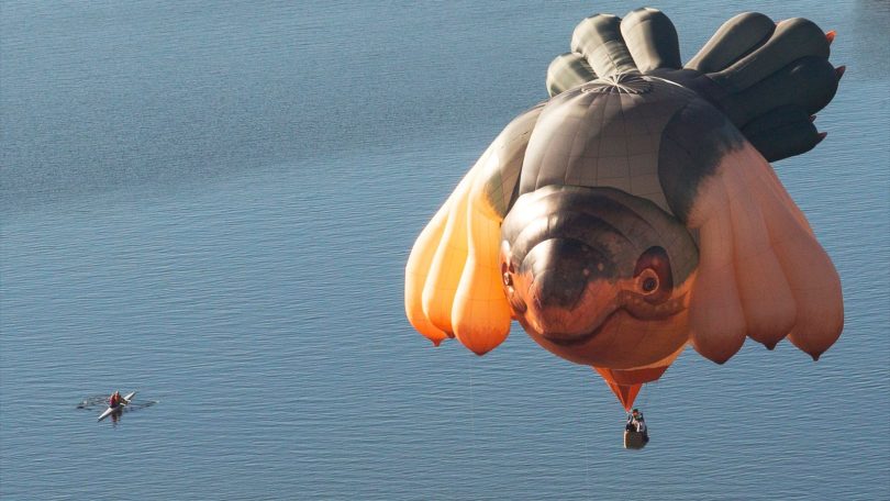 Skywhale floating above Lake Burley Griffin.