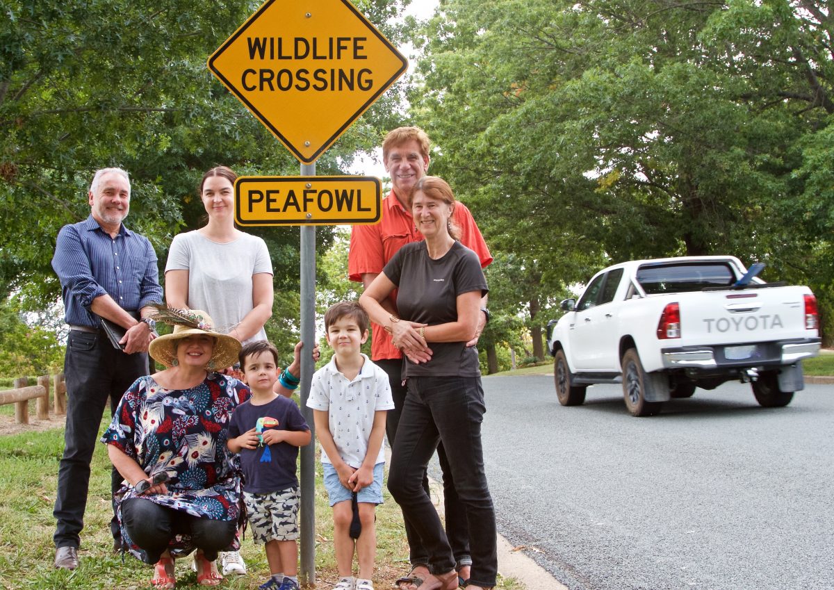 Group of seven people standing in front of warning road sign for peafowl.