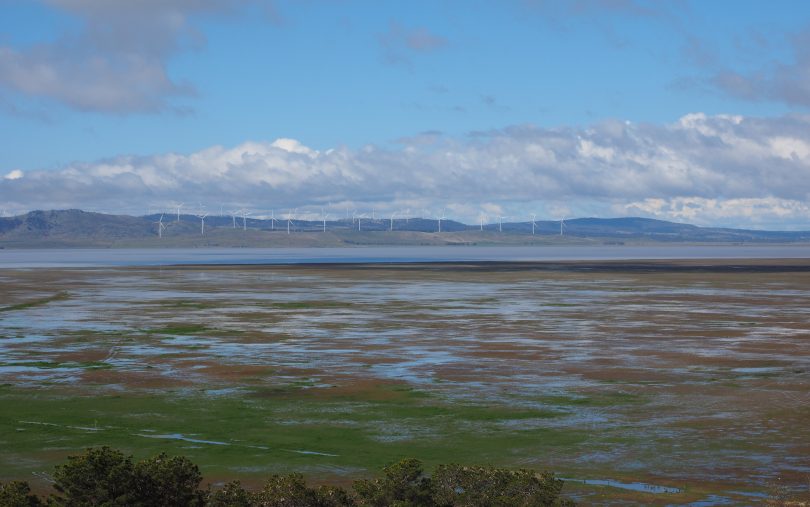 Lake George and wind turbines from Weereewa Lookout