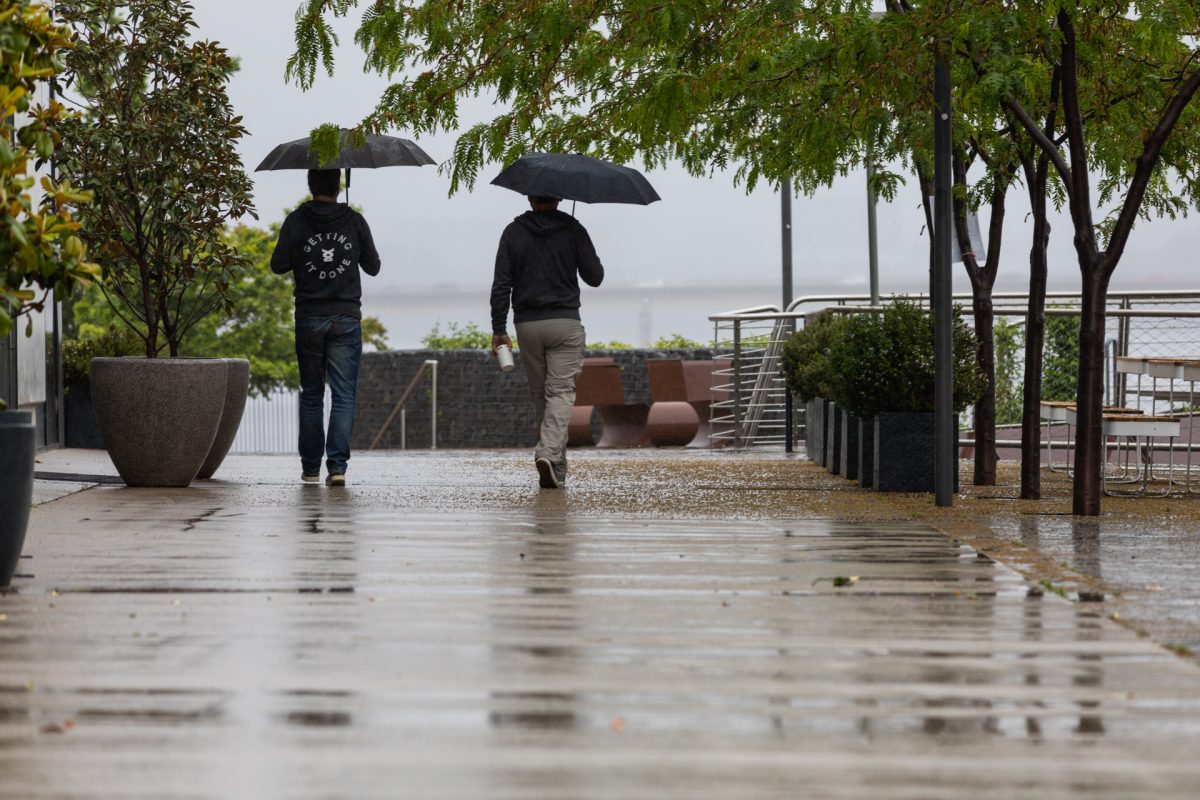 Two men with umbrellas walking in the rain