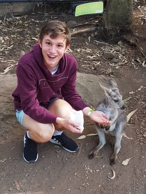 boy feeding a baby kangaroo