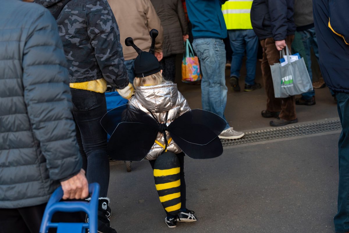 A child wearing a bee costume