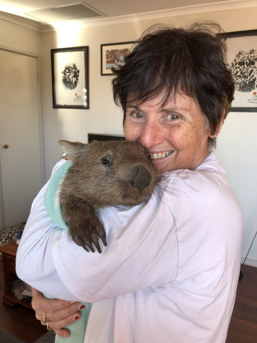 Woman holding a wombat
