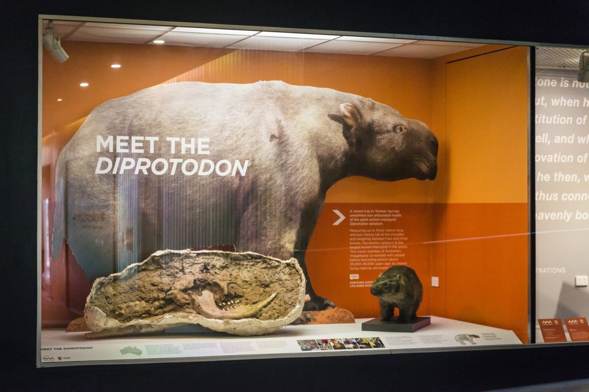 Diprotodon