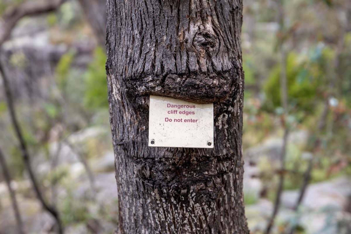 warning sign on a tree