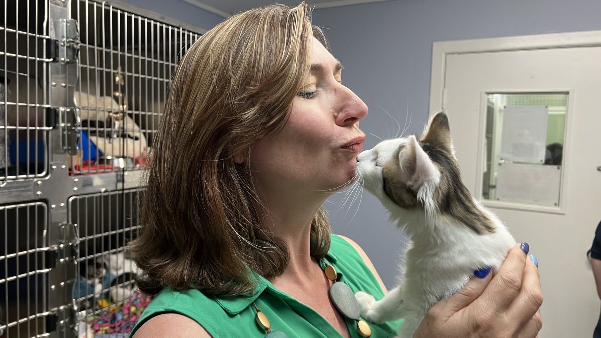 RSPCA ACT chief executive Michelle Robertson holding kitten up to her face.