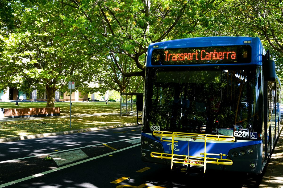 Transport Canberra bus