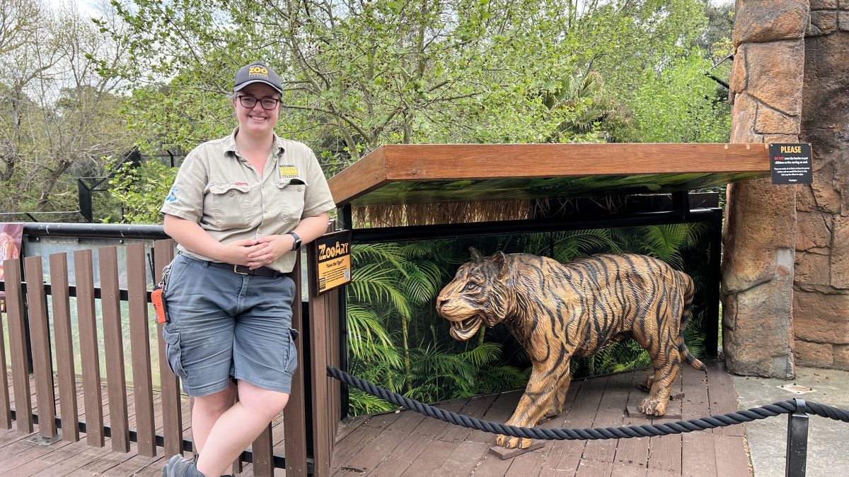 zookeeper next to fake tiger
