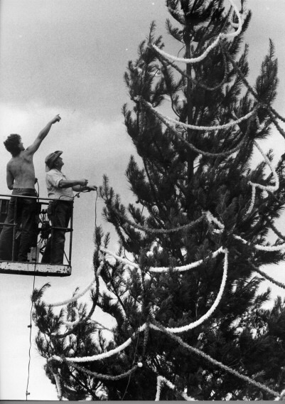 Christmas tree being installed on City Hill in 1986