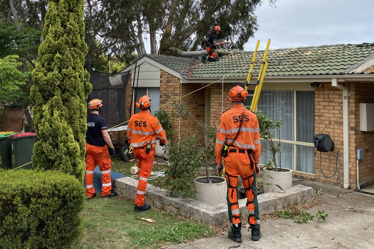 ACT SES crews clearing a tree off a roof