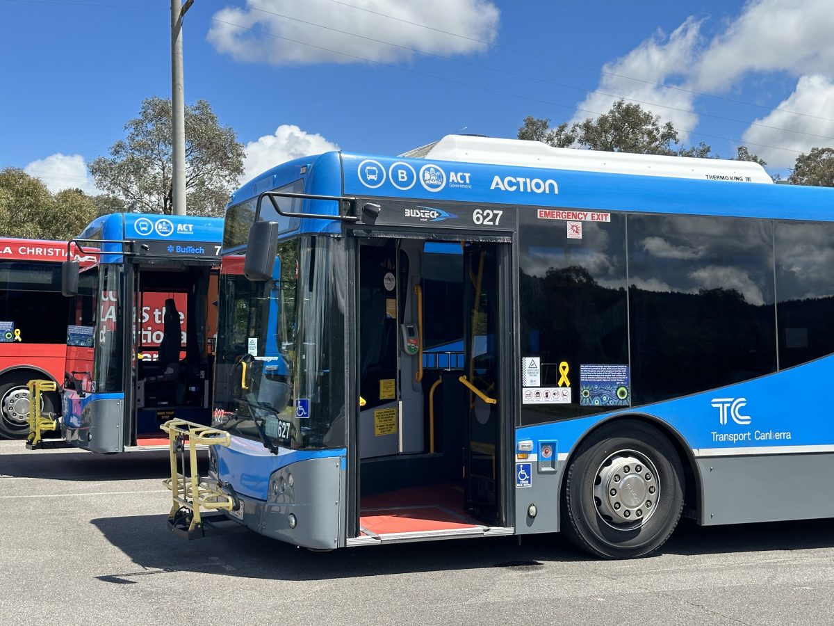 Transport Canberra buses
