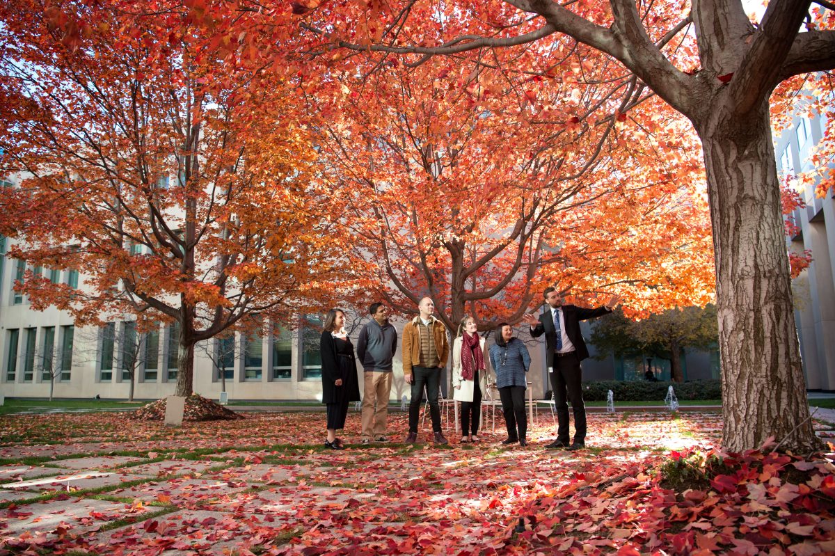 people standing under a tree in autumn leaves