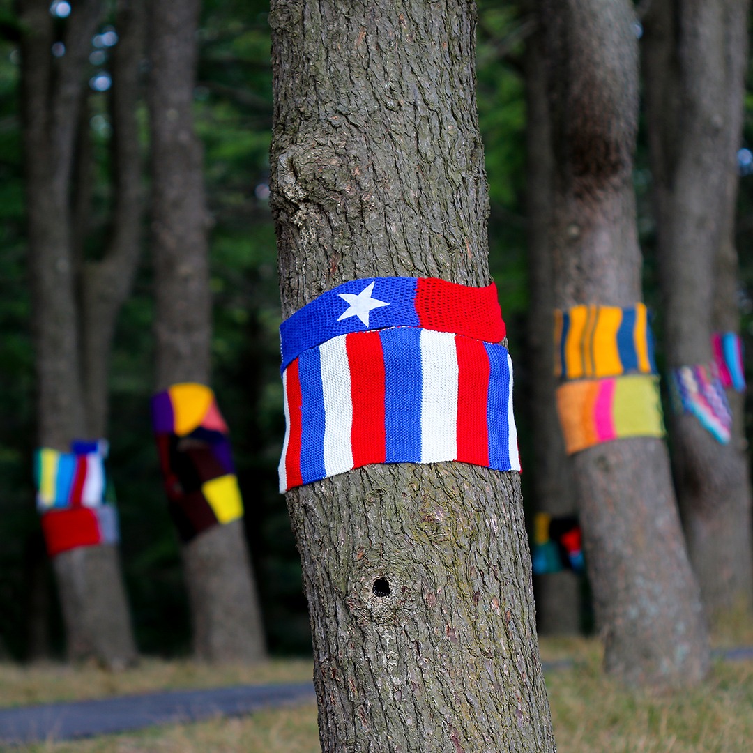 Warm Trees Chilean