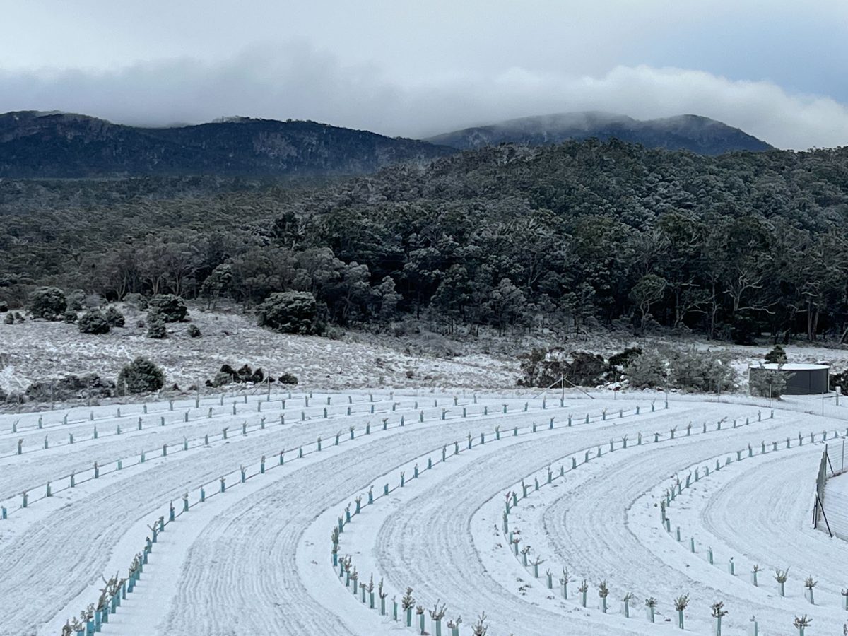 snow at Wamboin