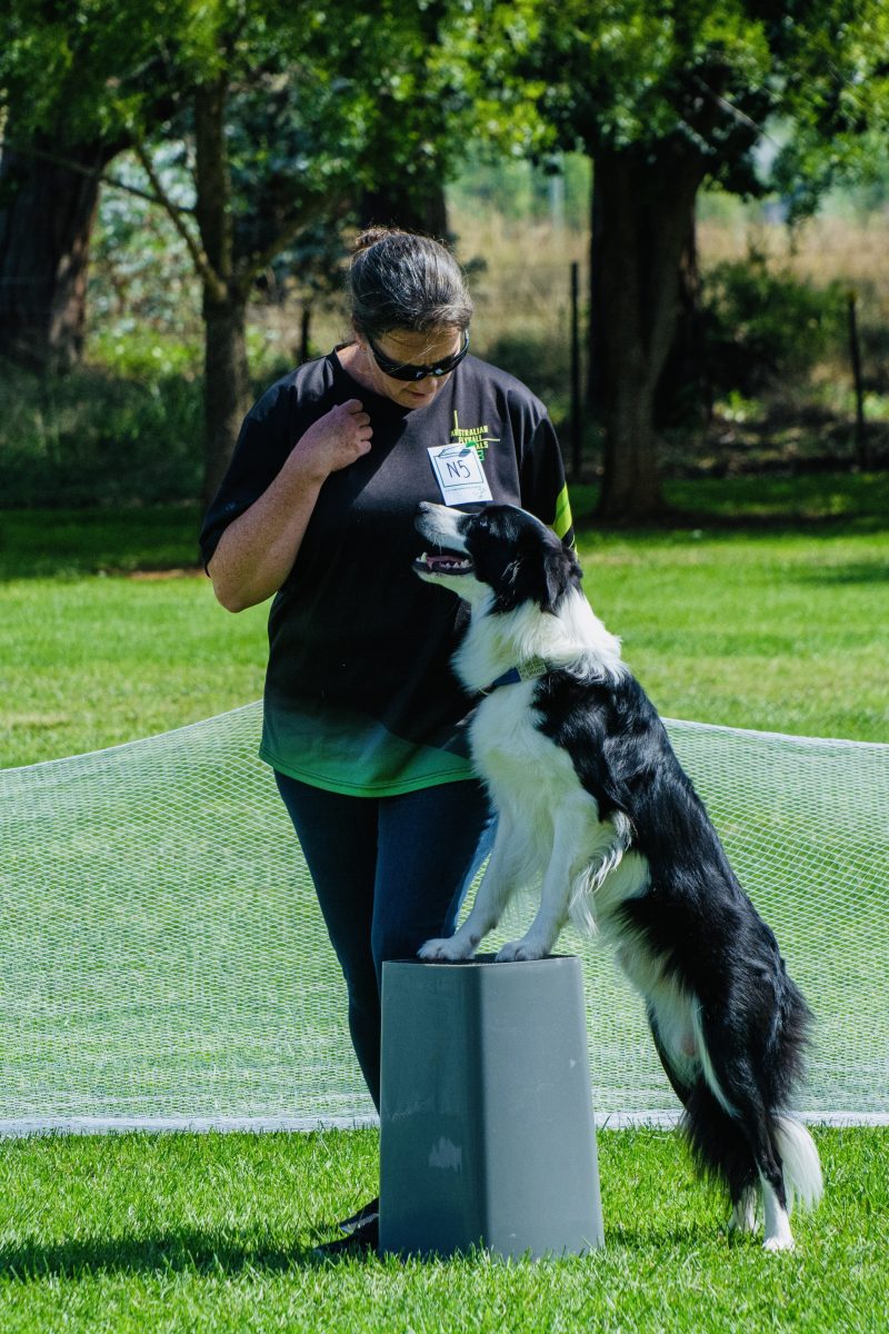 Vanessa training dog outside 