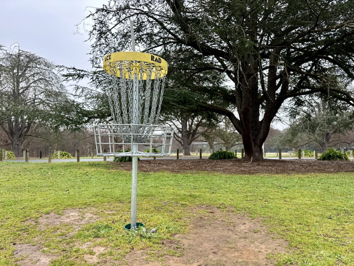 disc golf target