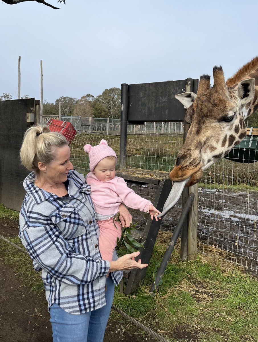 Baby feeding a giraffe