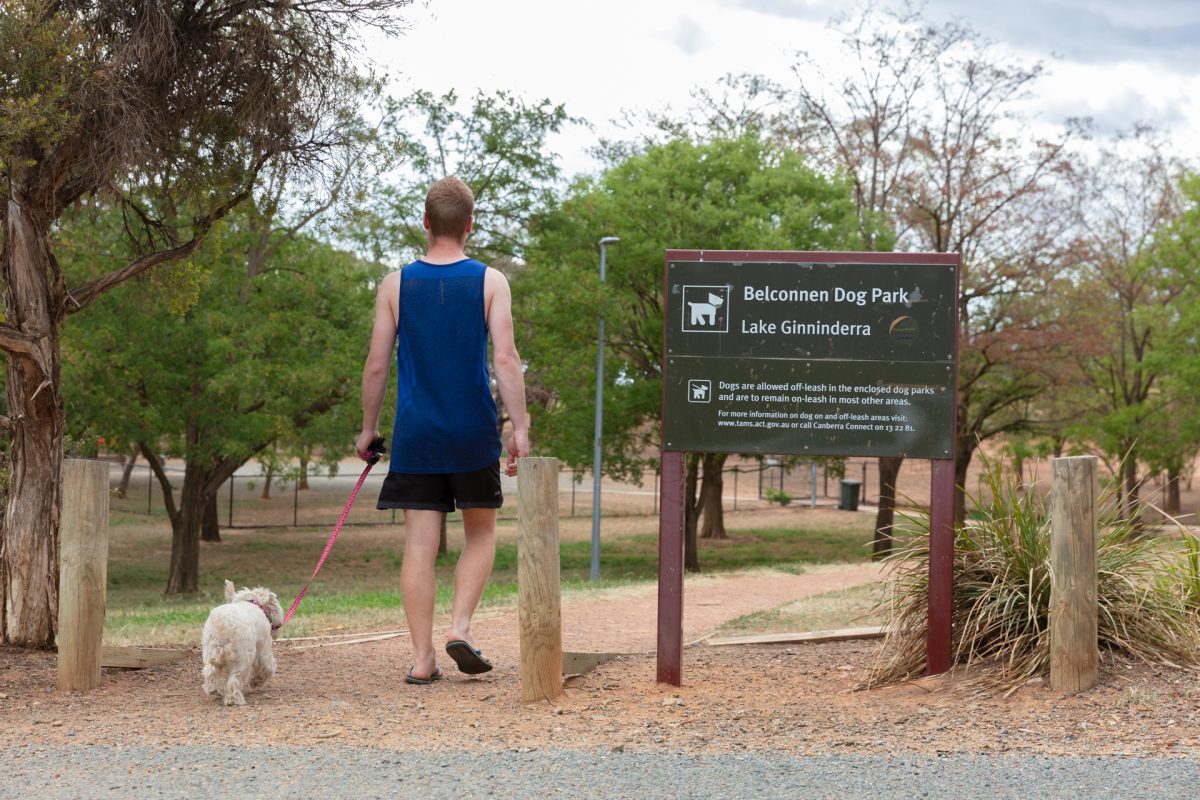 Man walking dog towards dog park