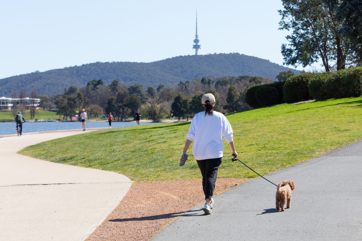 Person walking a dog by the lake