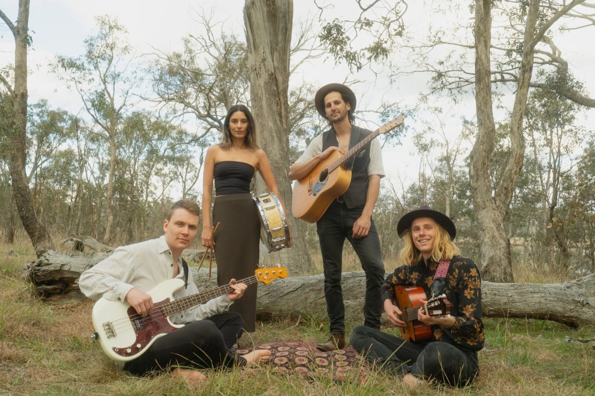 four musicians standing in the bush