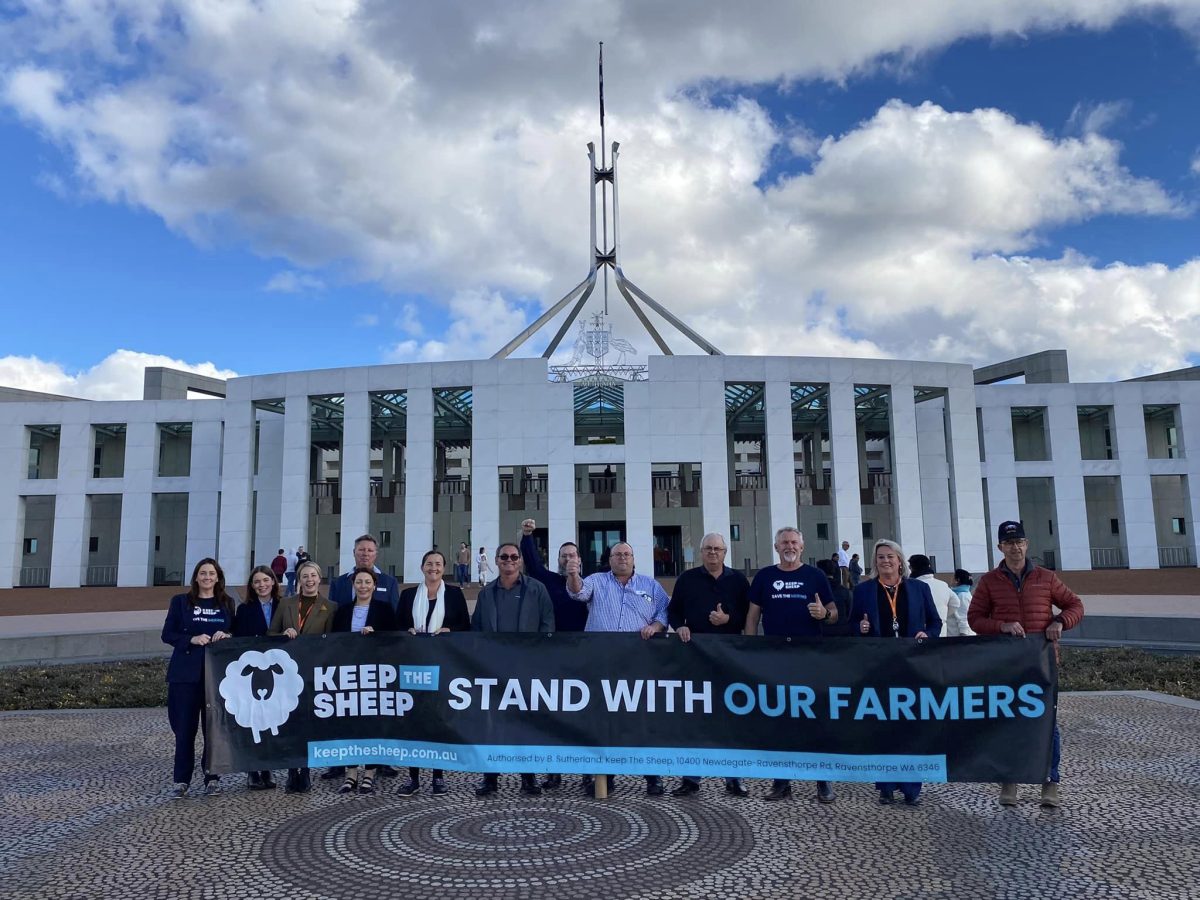 Protesters in front of Parliament House 