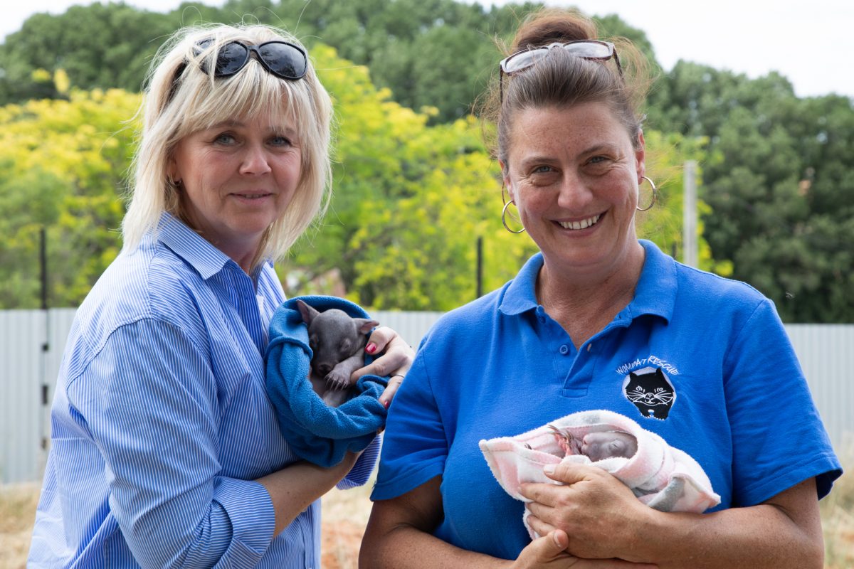 Czech First Lady, Eva Pavolva with founder and president of ACT Wombat Rescue Yolandi Vermaak - and two orphan wombat babies.