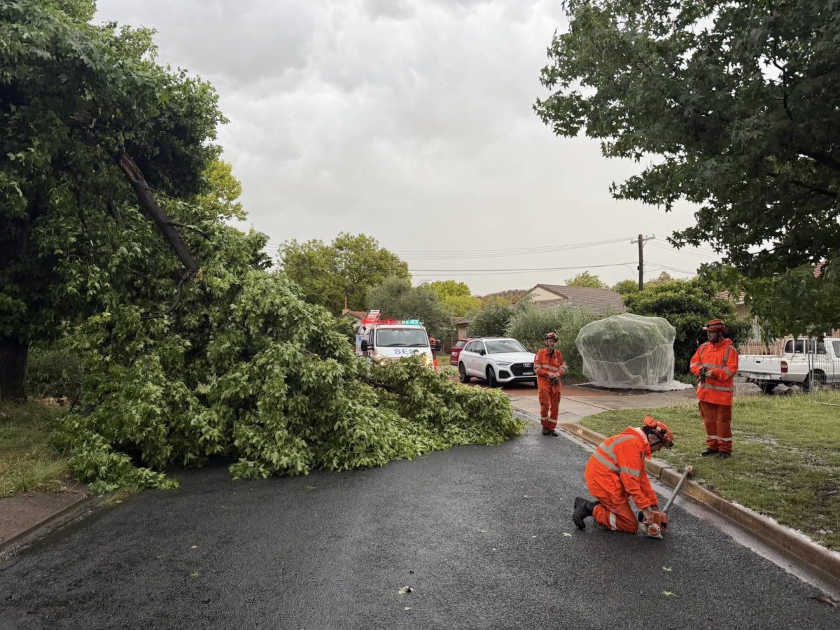 emergency workers and storm damage