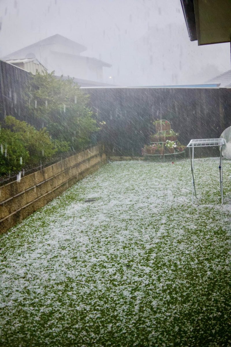 hail in a back yard