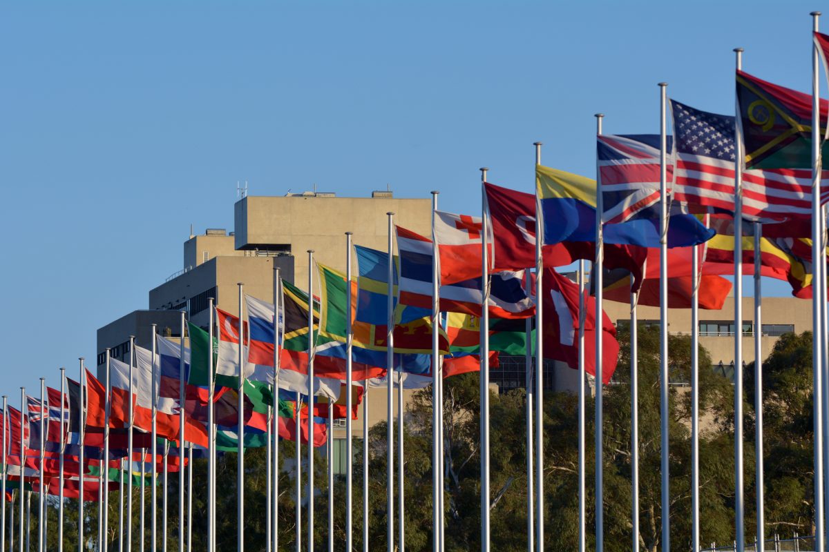 International flag display