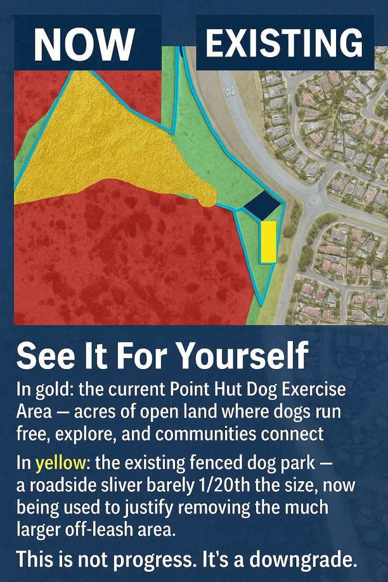 Dog exercise area