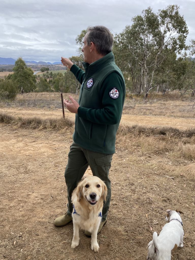 Dog exercise area