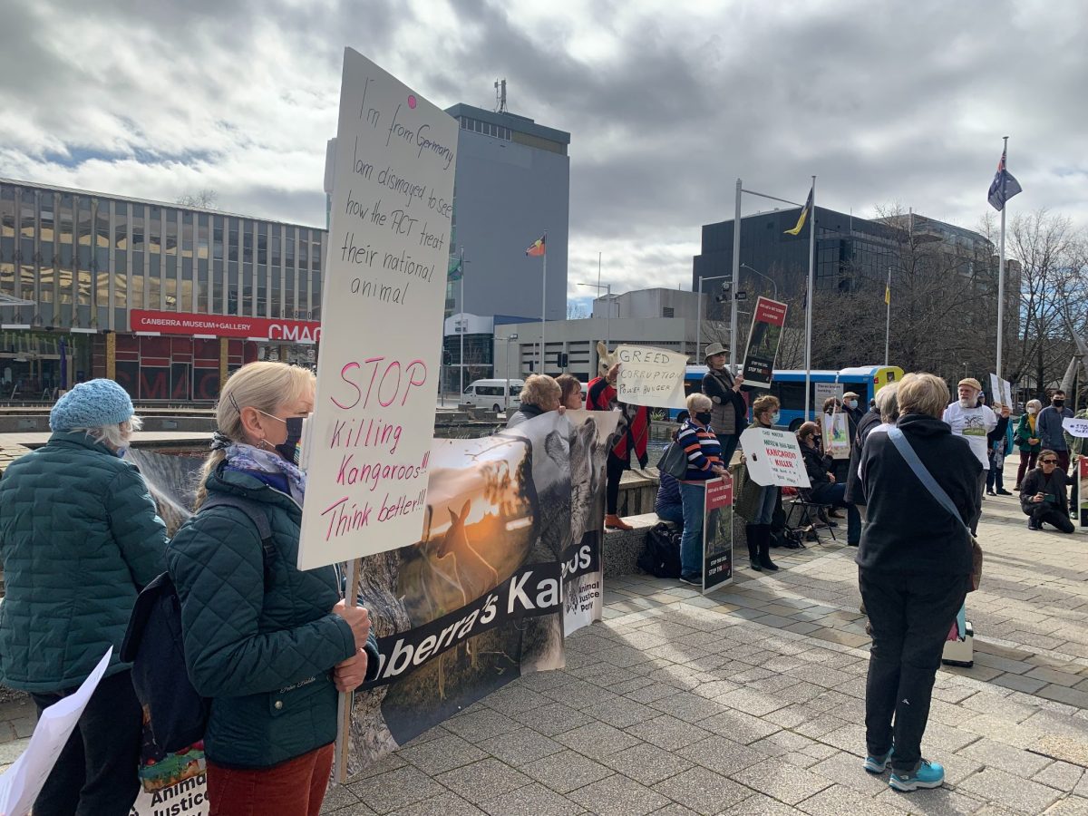 Animal Justice Party protest in Canberra