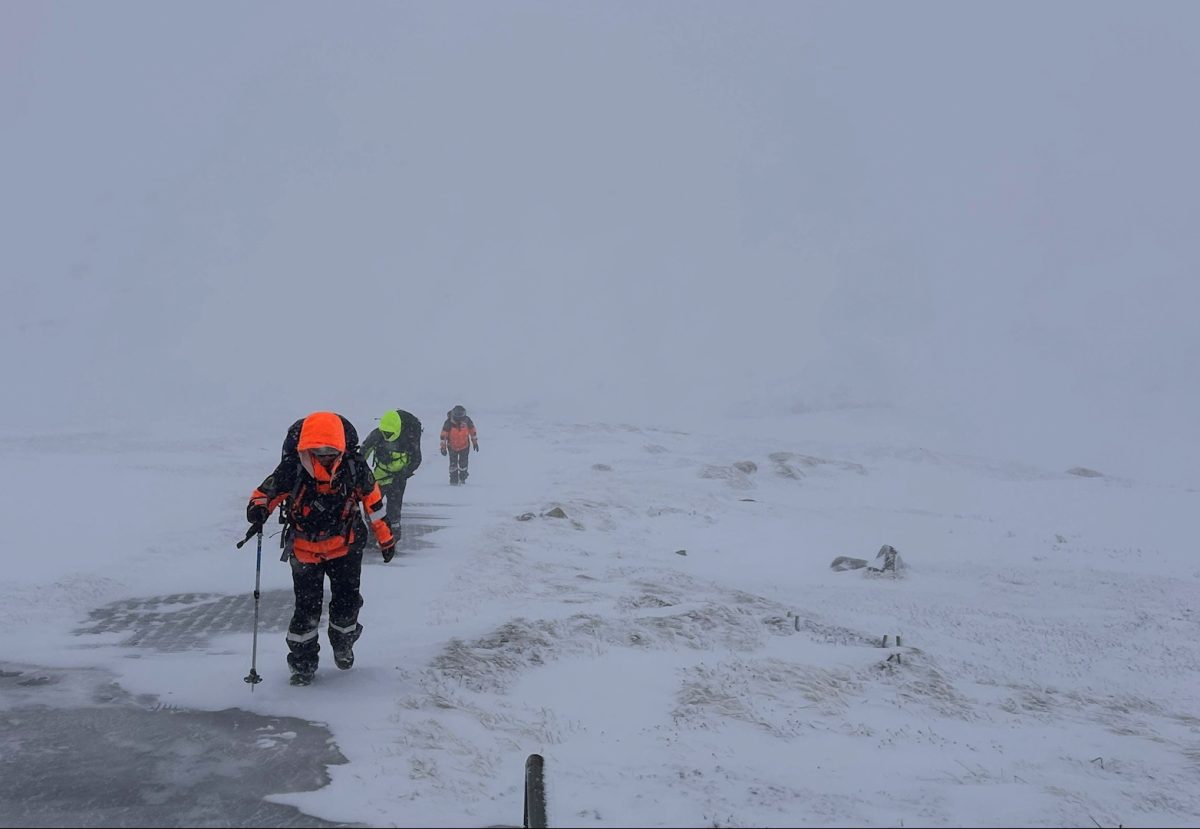 Police and SES search for missing hikers