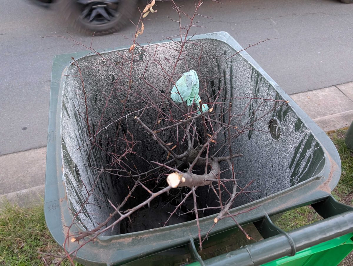 Green bin