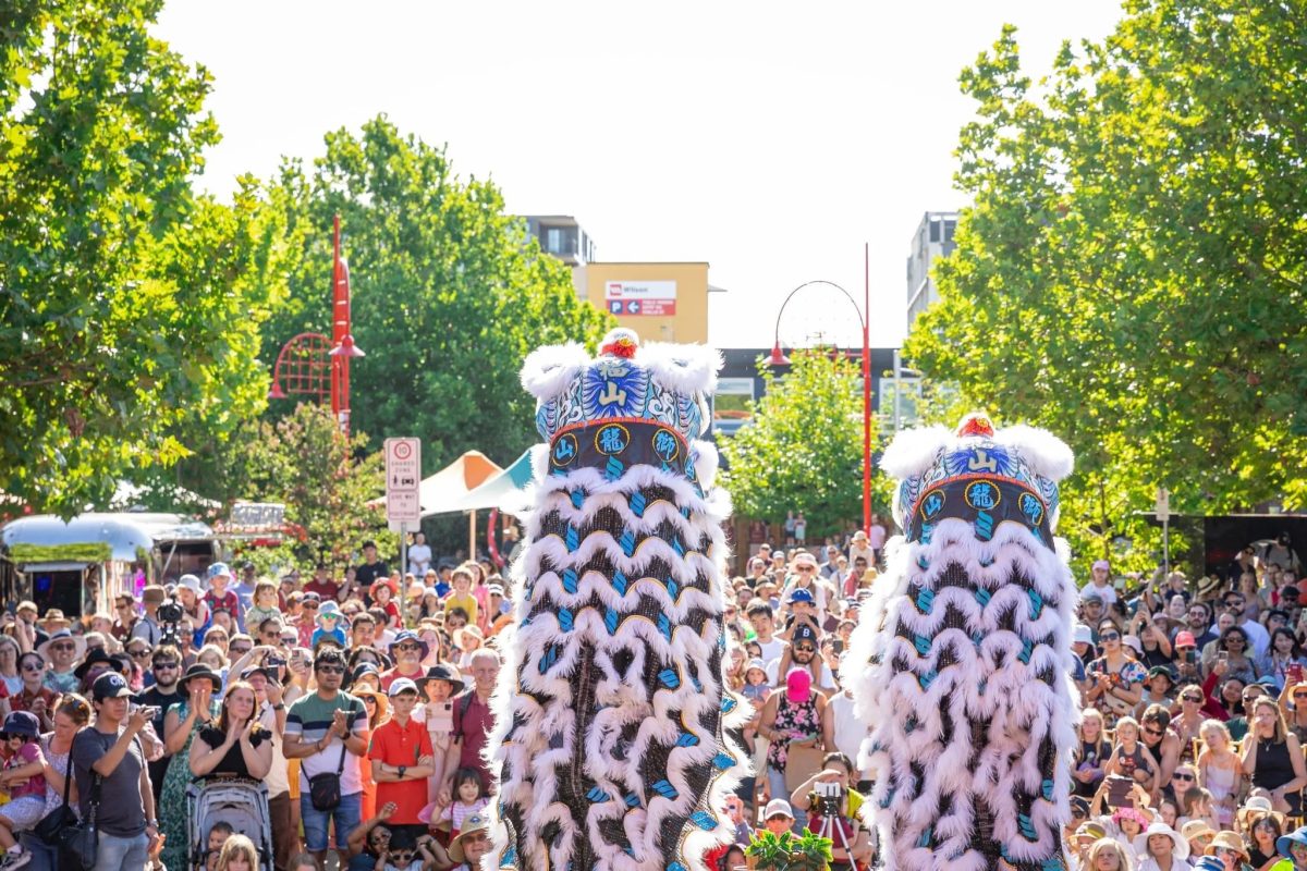 Two traditional blue and white dragon dancing costumes are viewed from behind, in the background you can see a large crowd gathered.