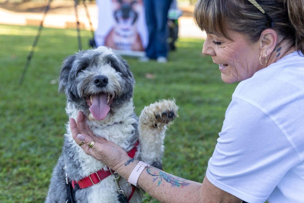 A dog waving at the camera