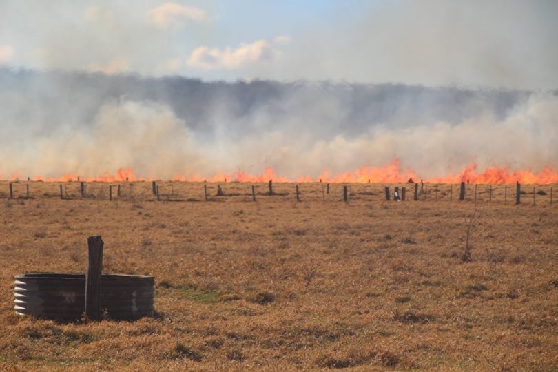 Grassfire on rural property near Moruya.