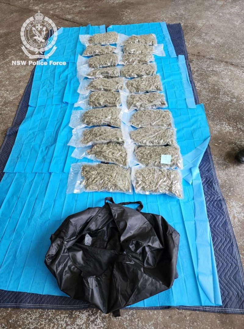 Packets of weed placed on a blue tarp