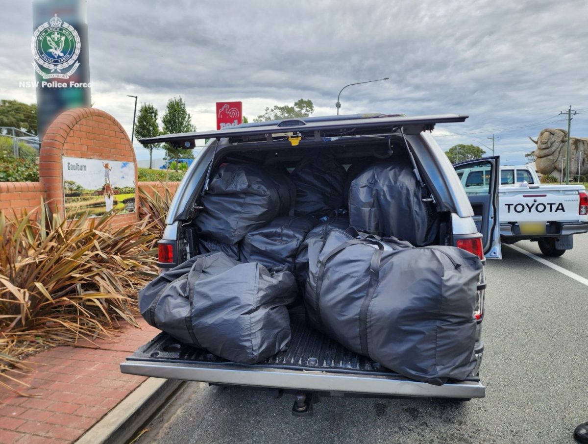 A pile of black duffle bags in the back of a car