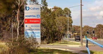 过渡团队负责人坚称，堪培拉Calvary公立医院收购过程没有任何“激进的”计划