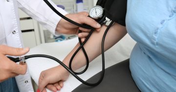 医学调查揭示堪培拉公共卫生工作场所中“不可接受”的现象