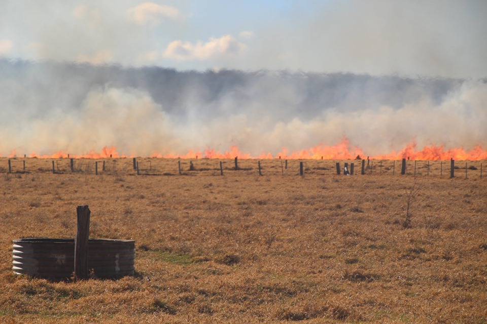 森林大火前瞻：新州NSW和ACT存在草场火灾快速蔓延的风险！