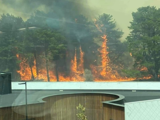 堪培拉山火实时资讯：Kallaroo和Pialligo大火合并！ACT附近救火飞机坠毁，3名美籍消防员丧生！堪培拉机场已关闭