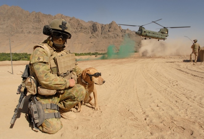 军犬纪念碑在澳大利亚国家战争纪念馆揭幕