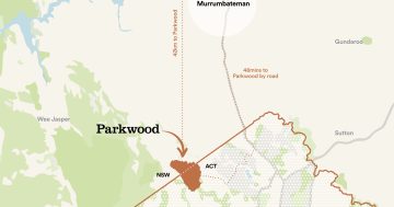 新州是否应保留这一大型住宅开发项目？