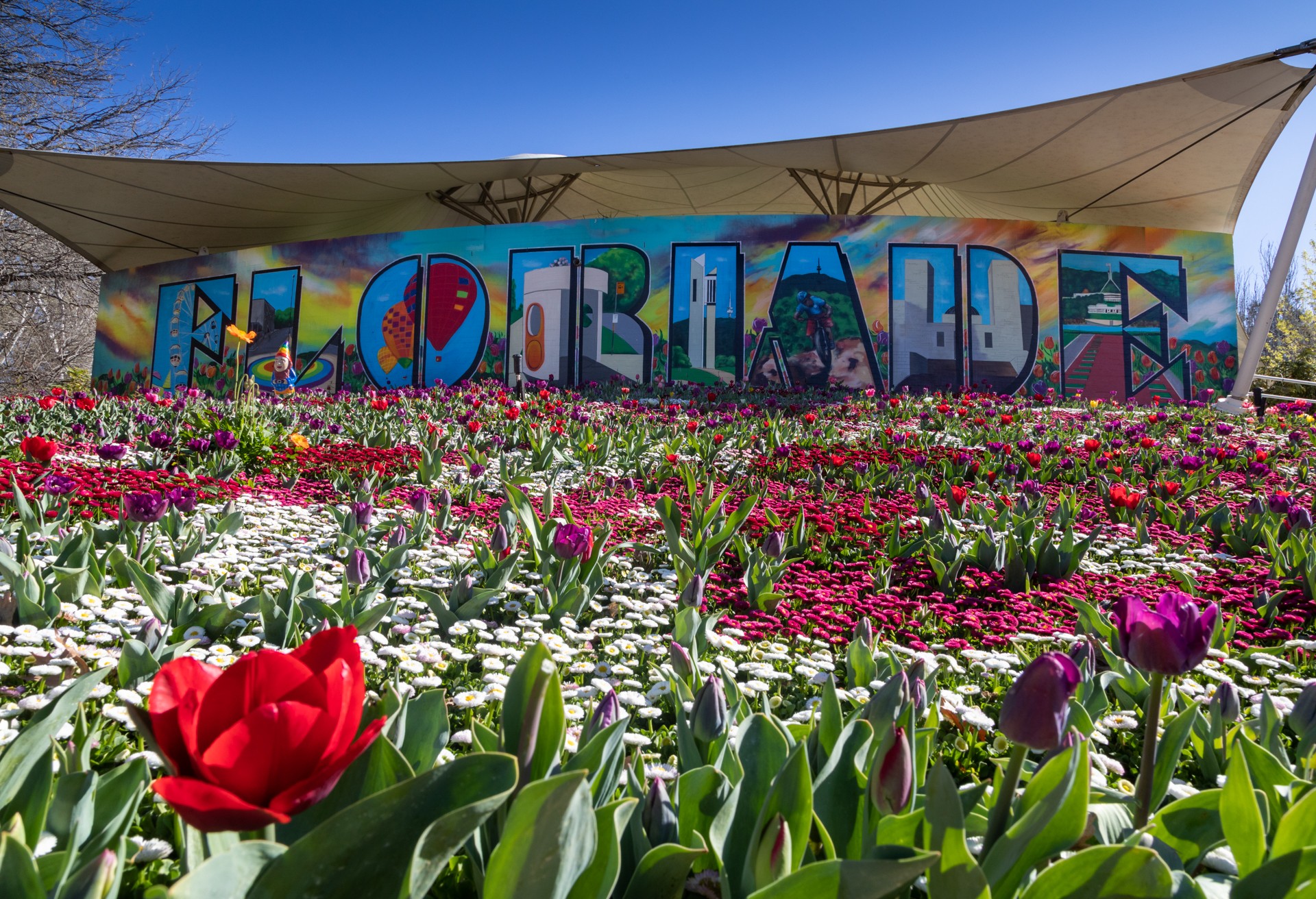 带着“春天的声音”，堪培拉花展Floriade今年将重回联邦公园